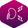 Nieren: diabetische Nephropathie - Icon Nieren: diabetische Nephropathie - Icon