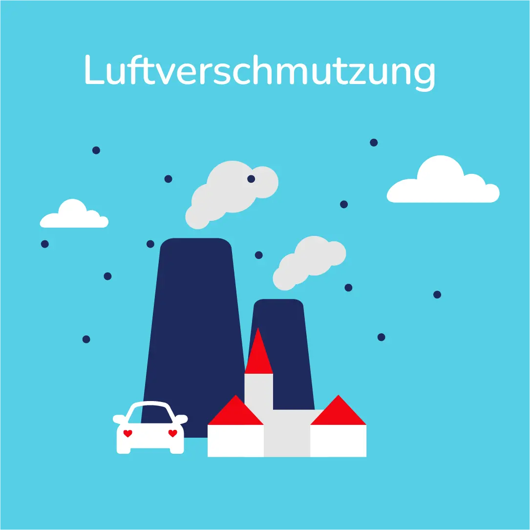 Infografiken_01-03_Ursachen-Risikofaktoren-Luftverschmutzung_Section7.webp