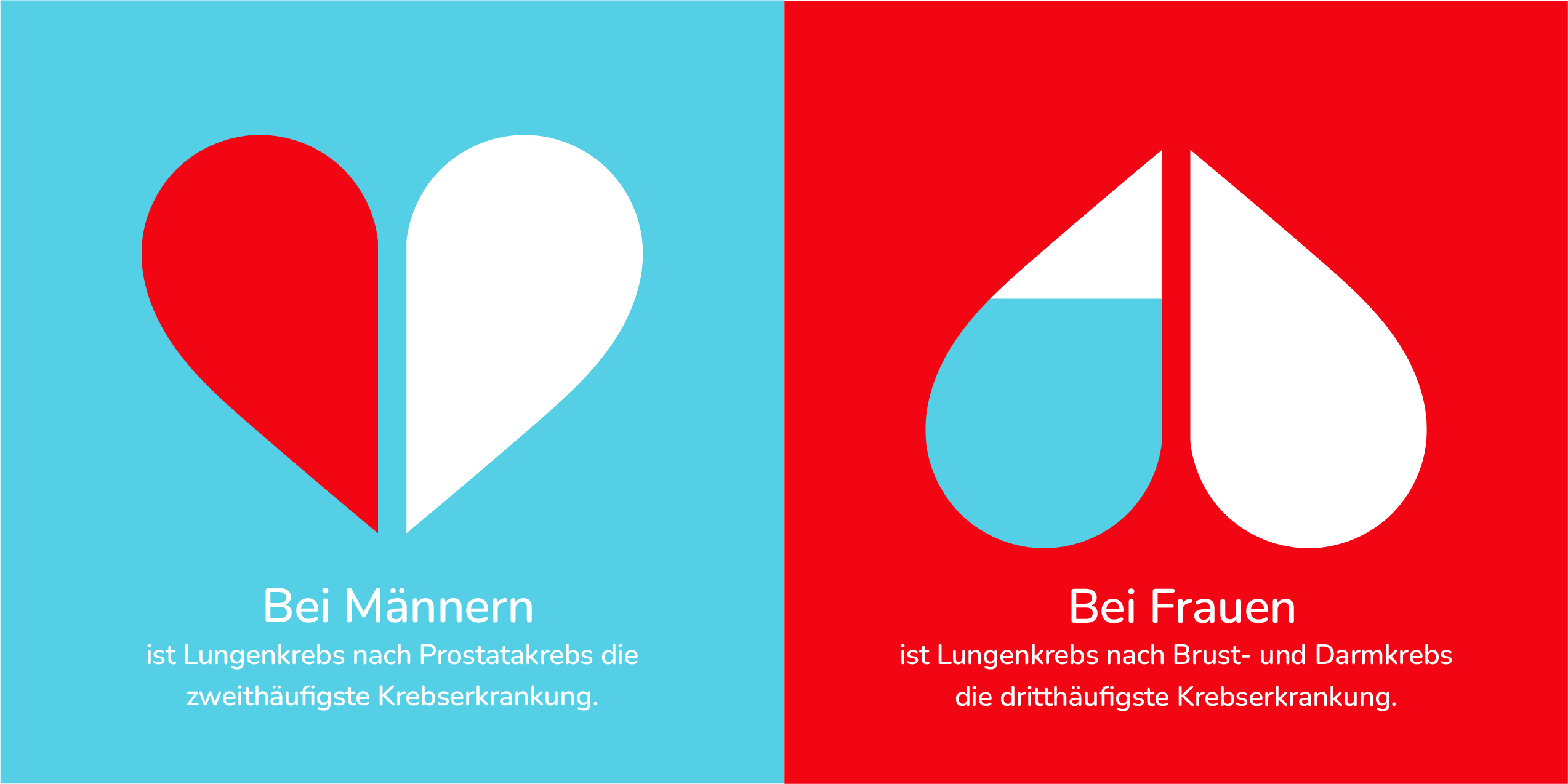 Infografiken_01-01_Was-ist-Lungenkrebs_Section12.png Infografiken_01-01_Was-ist-Lungenkrebs_Section12.png