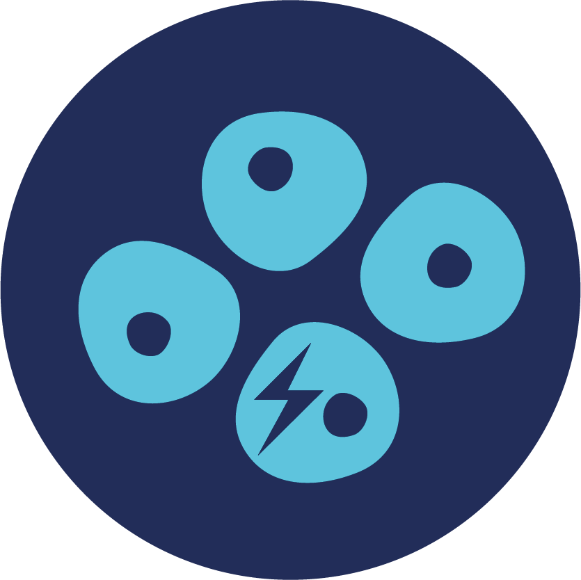 240514_02_Icon_Tumormaker.png