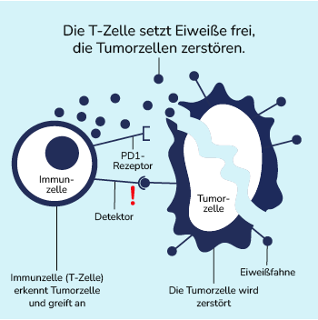 03-06-immuntherapie-02-350x350.png 03-06-immuntherapie-02-350x350.png