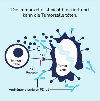 03-06-immuntherapie-04-350x350.png 03-06-immuntherapie-04-350x350.png