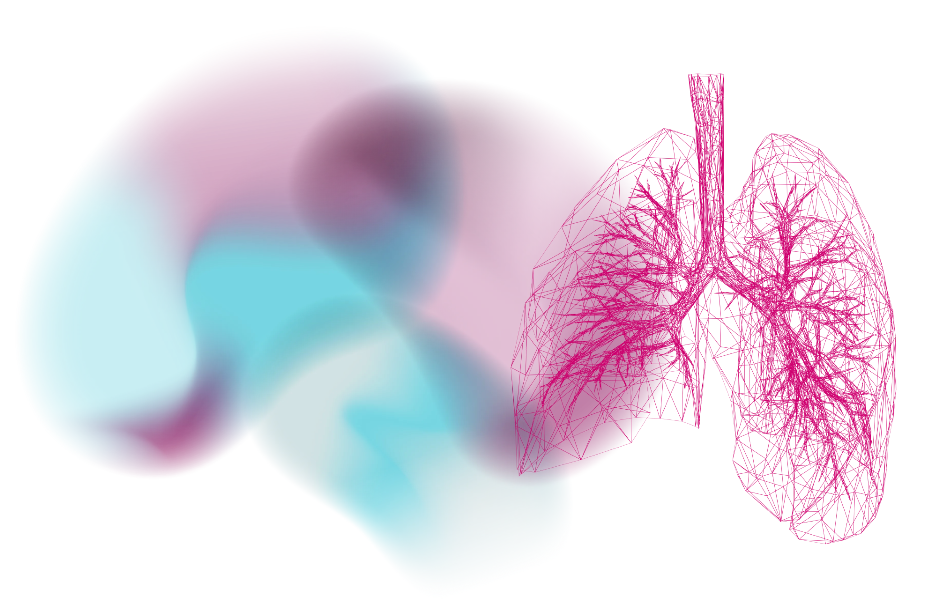 hero-large-lung-desktop3x.webp hero-large-lung-desktop3x.webp