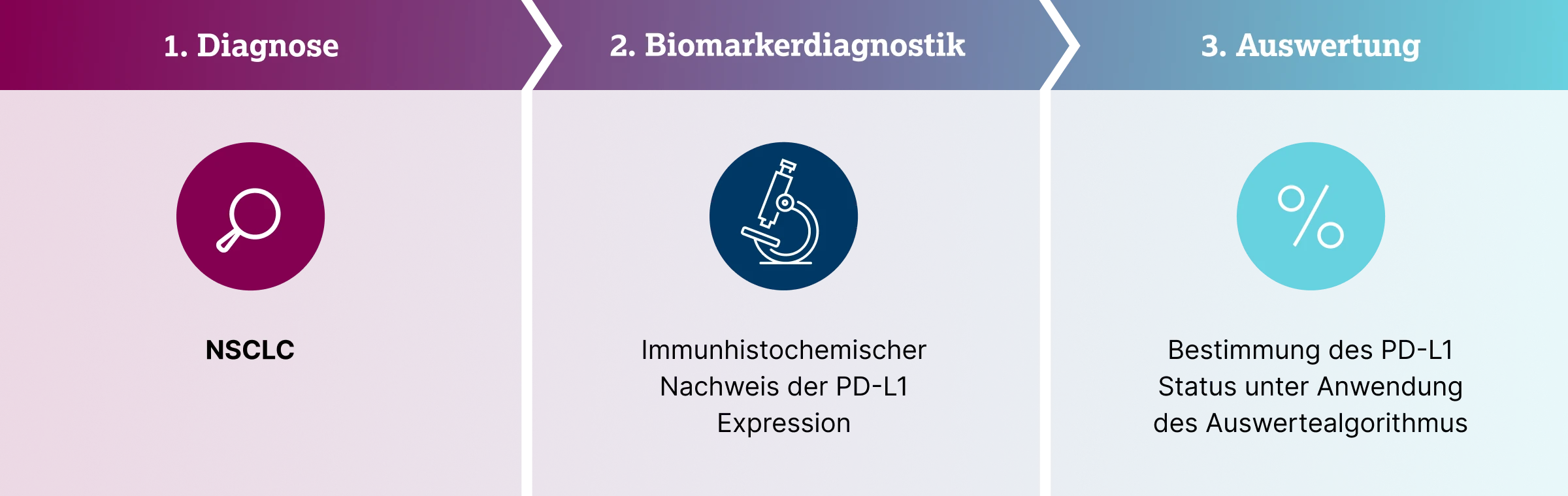 1.2.3-02-tumorerkrankungen-PD-L1-Lunge-grafik-PD-L1-Testung-Erstdiagnose2x.webp 1.2.3-02-tumorerkrankungen-PD-L1-Lunge-grafik-PD-L1-Testung-Erstdiagnose2x.webp