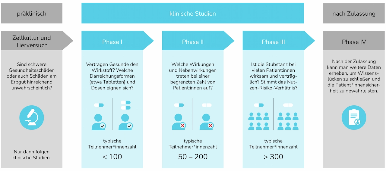 06-03_Studien-Forschung_Section4.webp