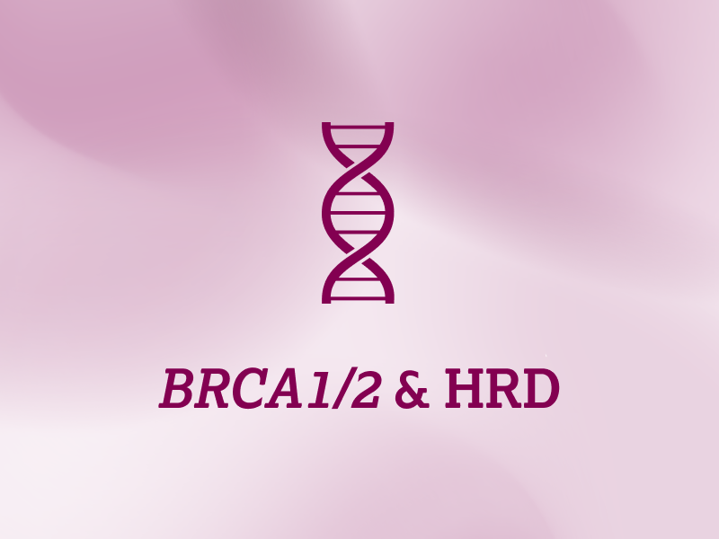 biomarker-teaser-ebene-2-BRCA1-2-HRD-2x_uid_69d4f6fc67eca.webp biomarker-teaser-ebene-2-BRCA1-2-HRD-2x_uid_69d4f6fc67eca.webp