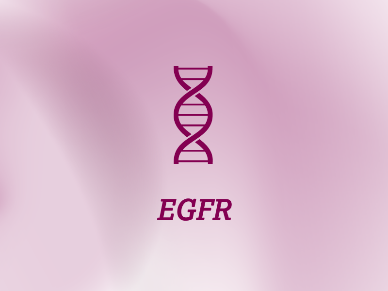 biomarker-teaser-ebene-2-EGFR-2x_uid_69d4fecd9d6d7.webp