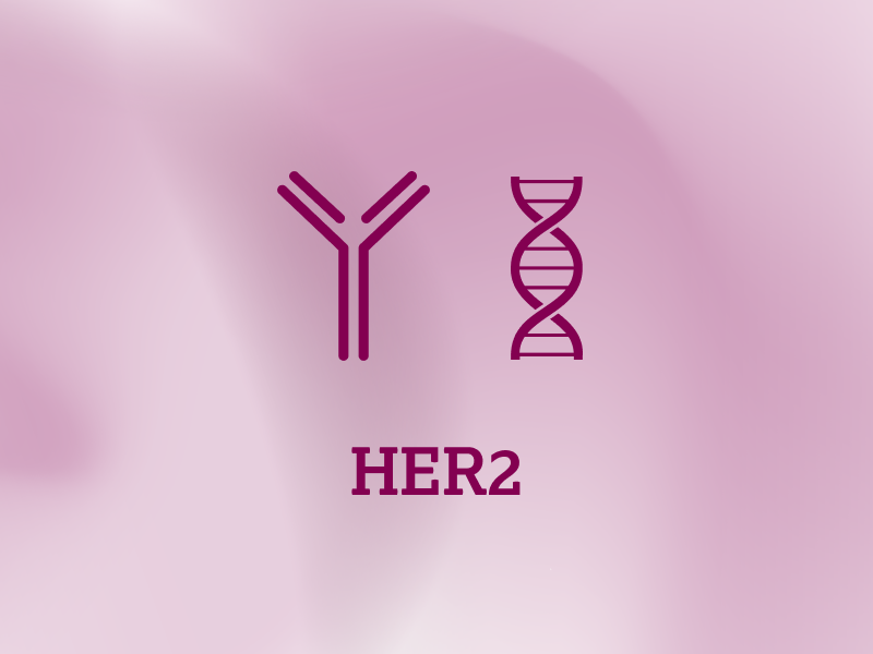 biomarker-teaser-ebene-2-HER2-2x_uid_69d4f6fcf1bf5.webp