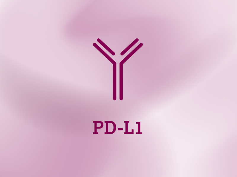 biomarker-teaser-ebene-2-PD-L1-2x_uid_69d4f6fc8cb12.webp