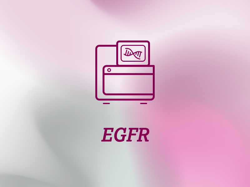diagnostik-teaser-ebene-2-EGFR-2x_uid_69d4f709a6a5e.webp