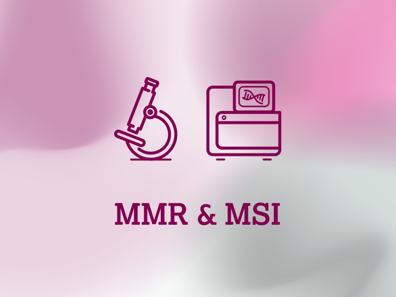 diagnostik-teaser-ebene-2-MMR-MSI-2x_uid_69d4f709befc0.webp diagnostik-teaser-ebene-2-MMR-MSI-2x_uid_69d4f709befc0.webp