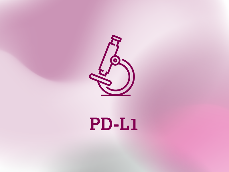 diagnostik-teaser-ebene-2-PD-L1-2x_uid_69d4f70a2f06b.webp
