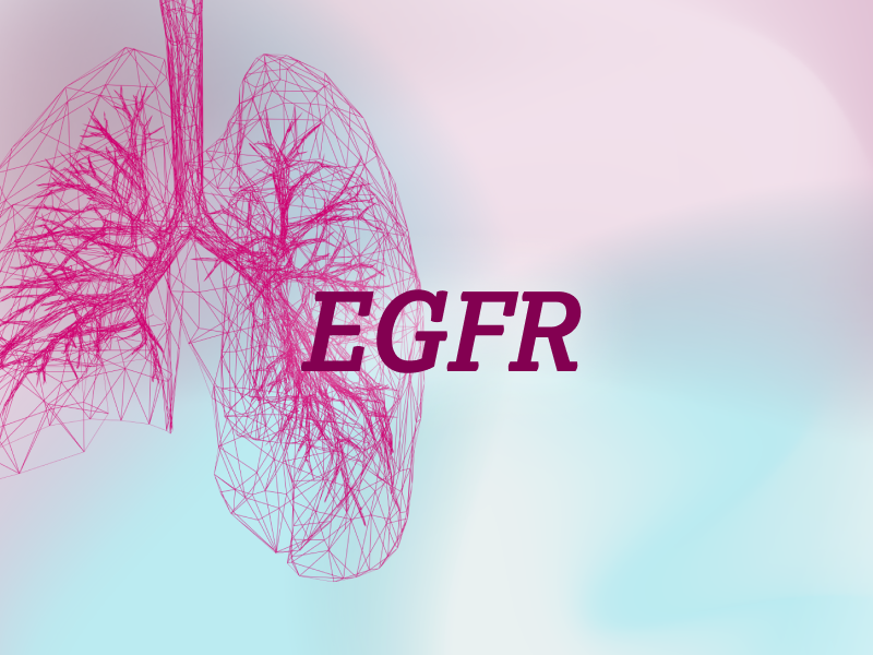 teaser-lung-ebene-2-EGFR-2x_uid_69d4f9a93cdbd.webp teaser-lung-ebene-2-EGFR-2x_uid_69d4f9a93cdbd.webp