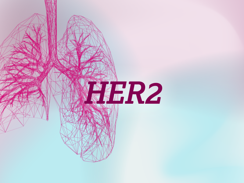 teaser-lung-ebene-2-HER2-2x_uid_69d4f6ef26fde.webp teaser-lung-ebene-2-HER2-2x_uid_69d4f6ef26fde.webp
