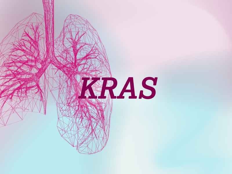 teaser-lung-ebene-2-KRAS-2x_uid_69d4f9cf260de.webp teaser-lung-ebene-2-KRAS-2x_uid_69d4f9cf260de.webp