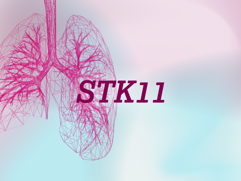 teaser-lung-ebene-2-STK11-2x_uid_69d4f9db480b5.webp teaser-lung-ebene-2-STK11-2x_uid_69d4f9db480b5.webp
