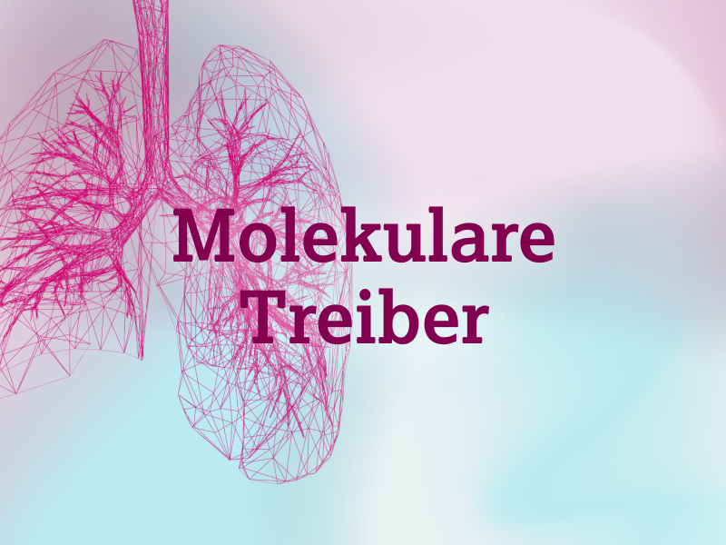 teaser-lung-ebene-2-molekulare-treiber-2x_uid_69d4f6ef1a699.webp teaser-lung-ebene-2-molekulare-treiber-2x_uid_69d4f6ef1a699.webp