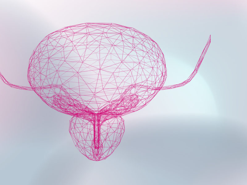 teaser-prostate-ebene-1-2x_uid_69d4f6eeea28b.webp
