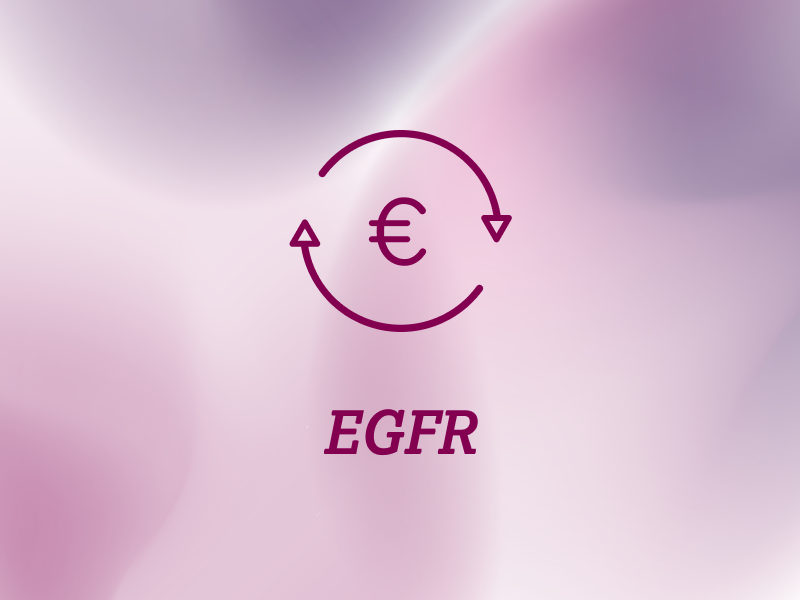 weitere-informationen-teaser-kostenerstattung-ebene-2-EGFR-2x_uid_69d4f714e03b9.webp
