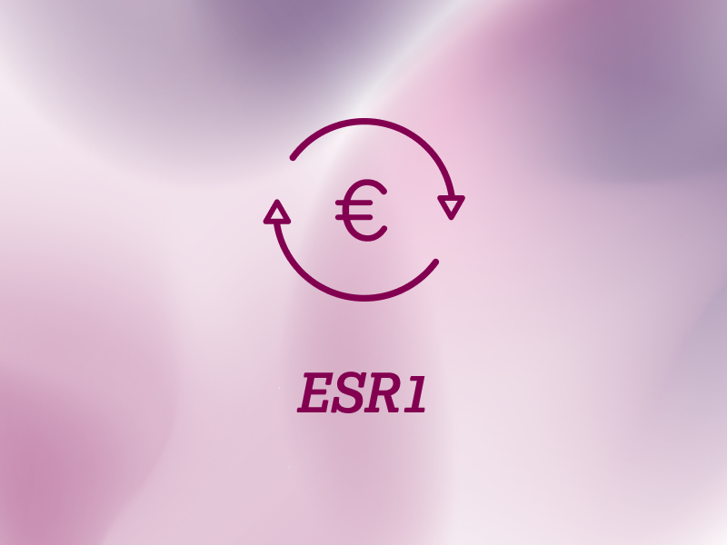 weitere-informationen-teaser-kostenerstattung-ebene-2-ESR1-2x_uid_69d4f71504607.webp