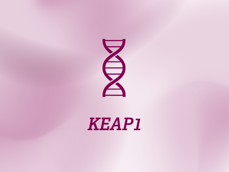 biomarker-teaser-ebene-2-KEAP1-2x_uid_69d63b2037988.webp