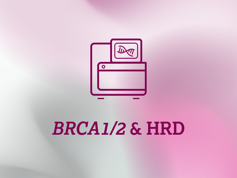 diagnostik-teaser-ebene-2-BRCA1-2-HRD-2x_uid_69d675e980b46.webp diagnostik-teaser-ebene-2-BRCA1-2-HRD-2x_uid_69d675e980b46.webp