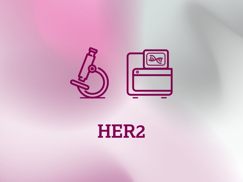 diagnostik-teaser-ebene-2-HER2-2x_uid_69d675d4d4e94.webp diagnostik-teaser-ebene-2-HER2-2x_uid_69d675d4d4e94.webp
