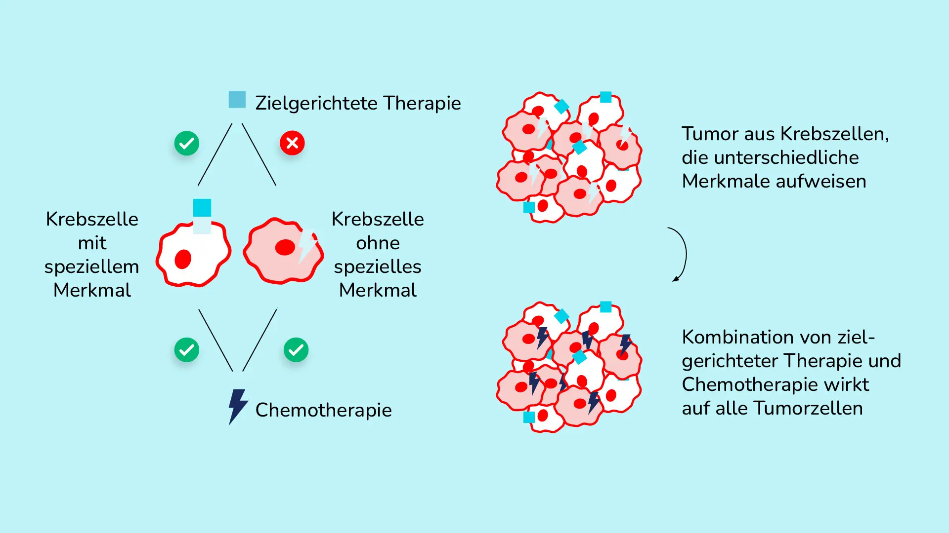Grafik_Kombi-Chemo-zielgerichtete-Therapien.webp