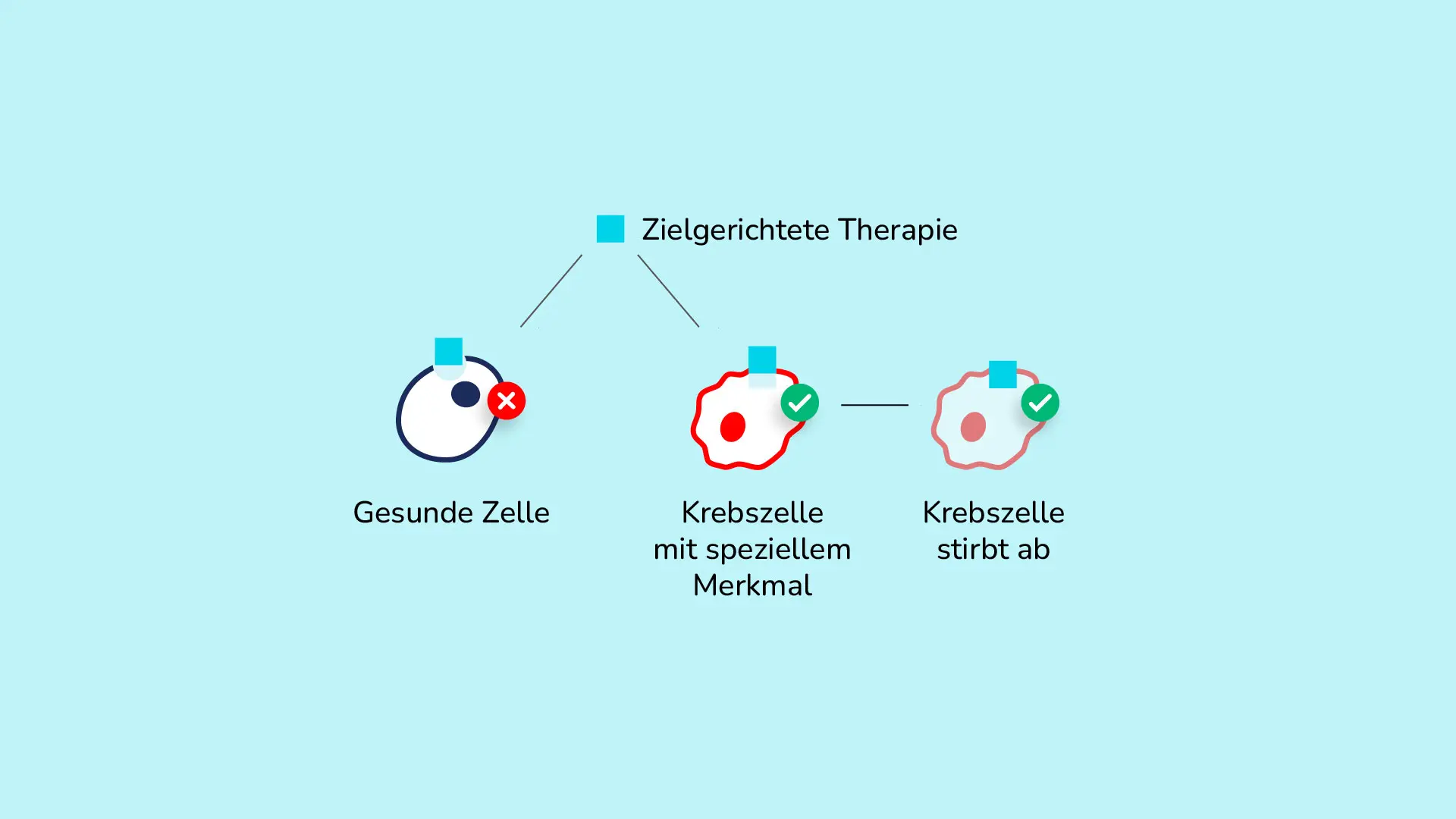 Grafik_zielgerichtete-Therapien.webp