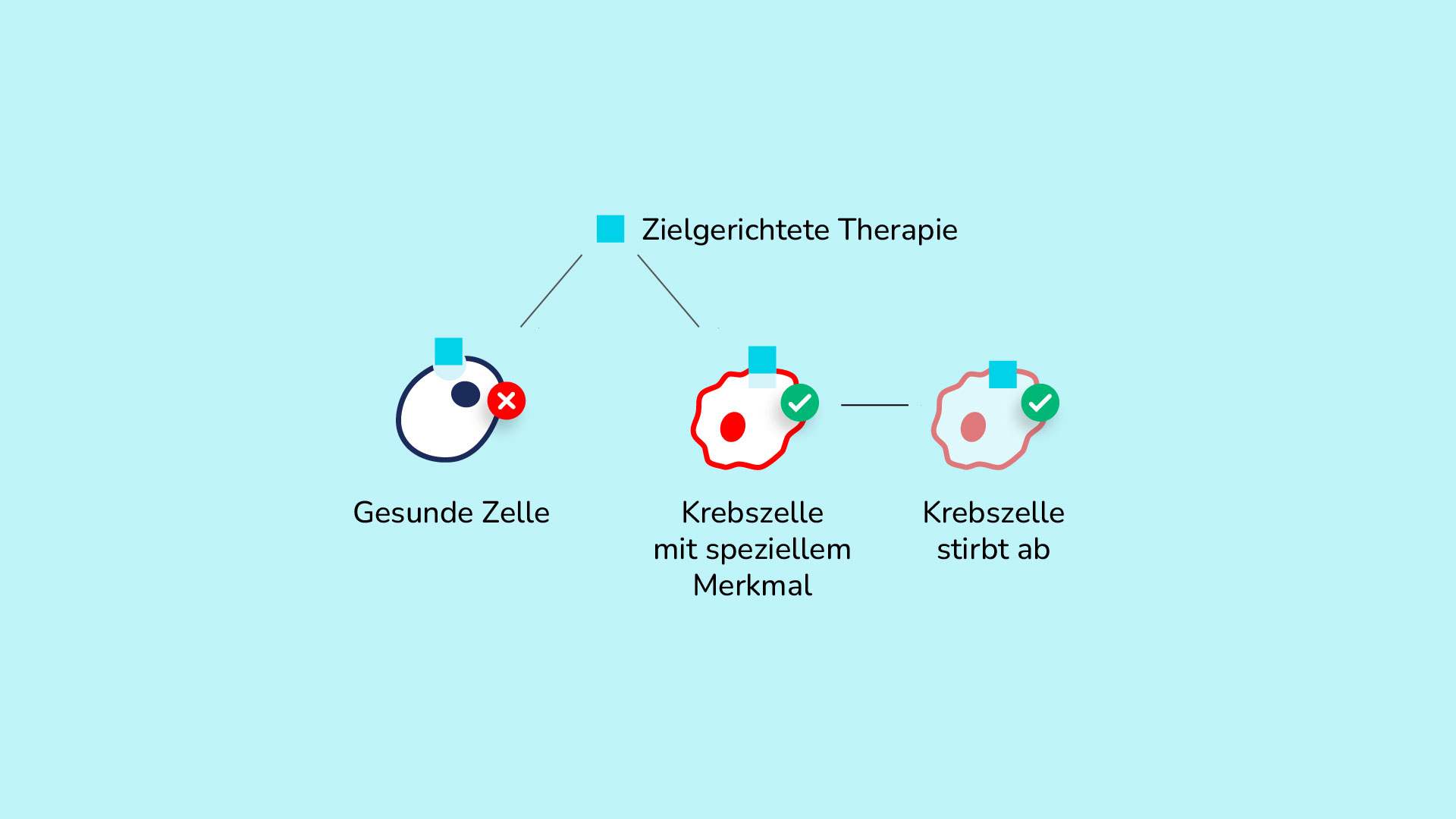 Grafik_zielgerichtete-Therapien.jpg Grafik_zielgerichtete-Therapien.jpg