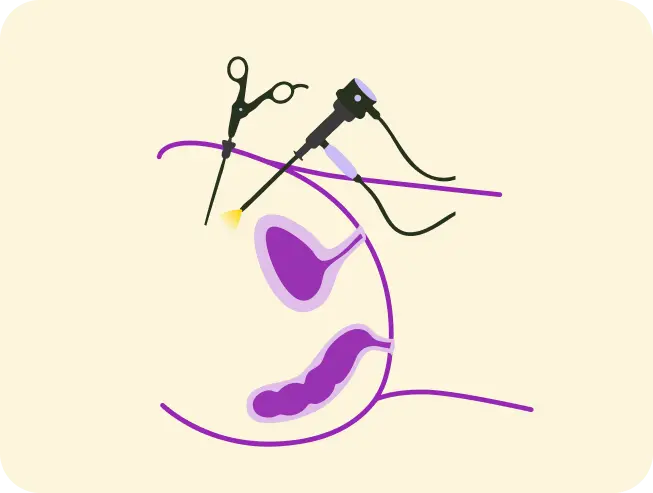 IMG-2.webp IMG-2.webp