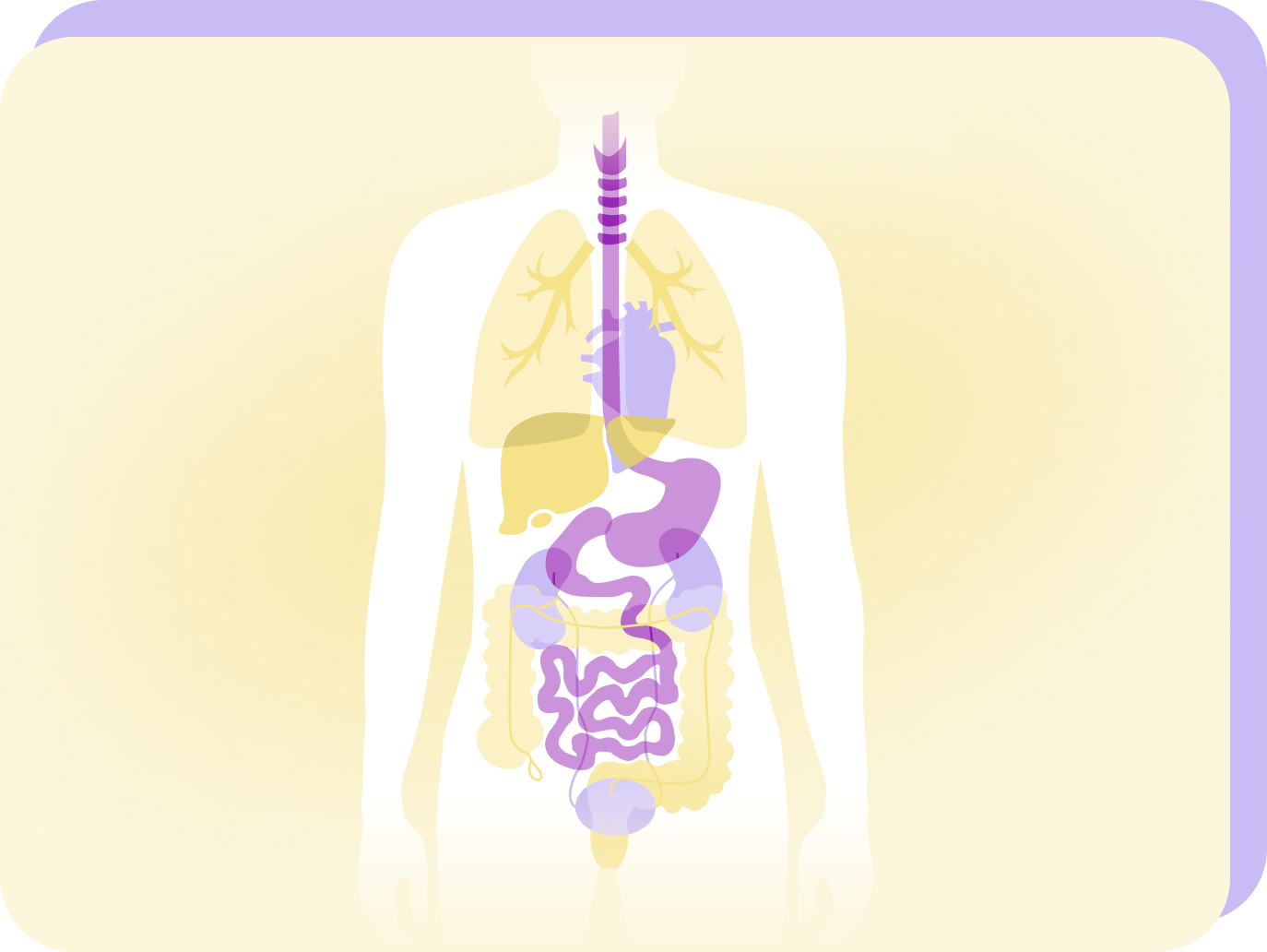 260609_01_teaser_symptome-v1.png 260609_01_teaser_symptome-v1.png
