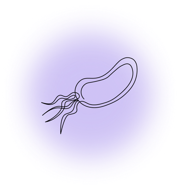 260609_01_usachen_icon-Bakterium.png