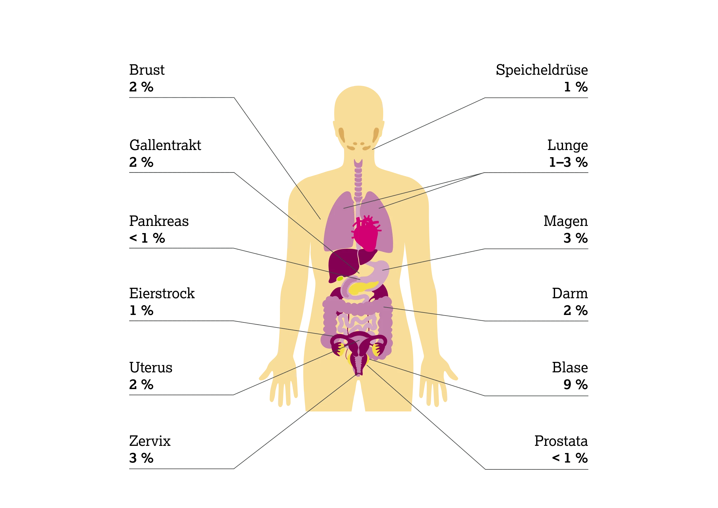 2.2.2-01-biomarker-HER2-grafik-praevalenz-mutation2x.webp 2.2.2-01-biomarker-HER2-grafik-praevalenz-mutation2x.webp