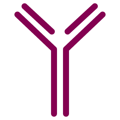 2.2.2-icon-Antibody2x.webp
