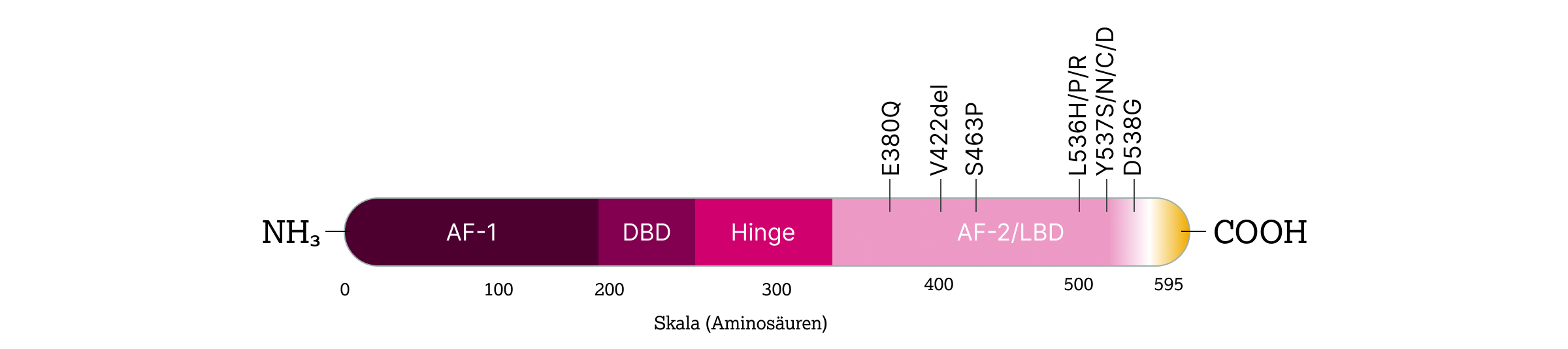 2.10.1-03-ESR1-grafik-schematische-darstellung.webp