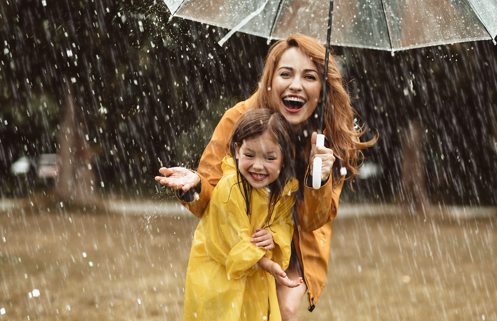 iStock-1143045697-2.png iStock-1143045697-2.png