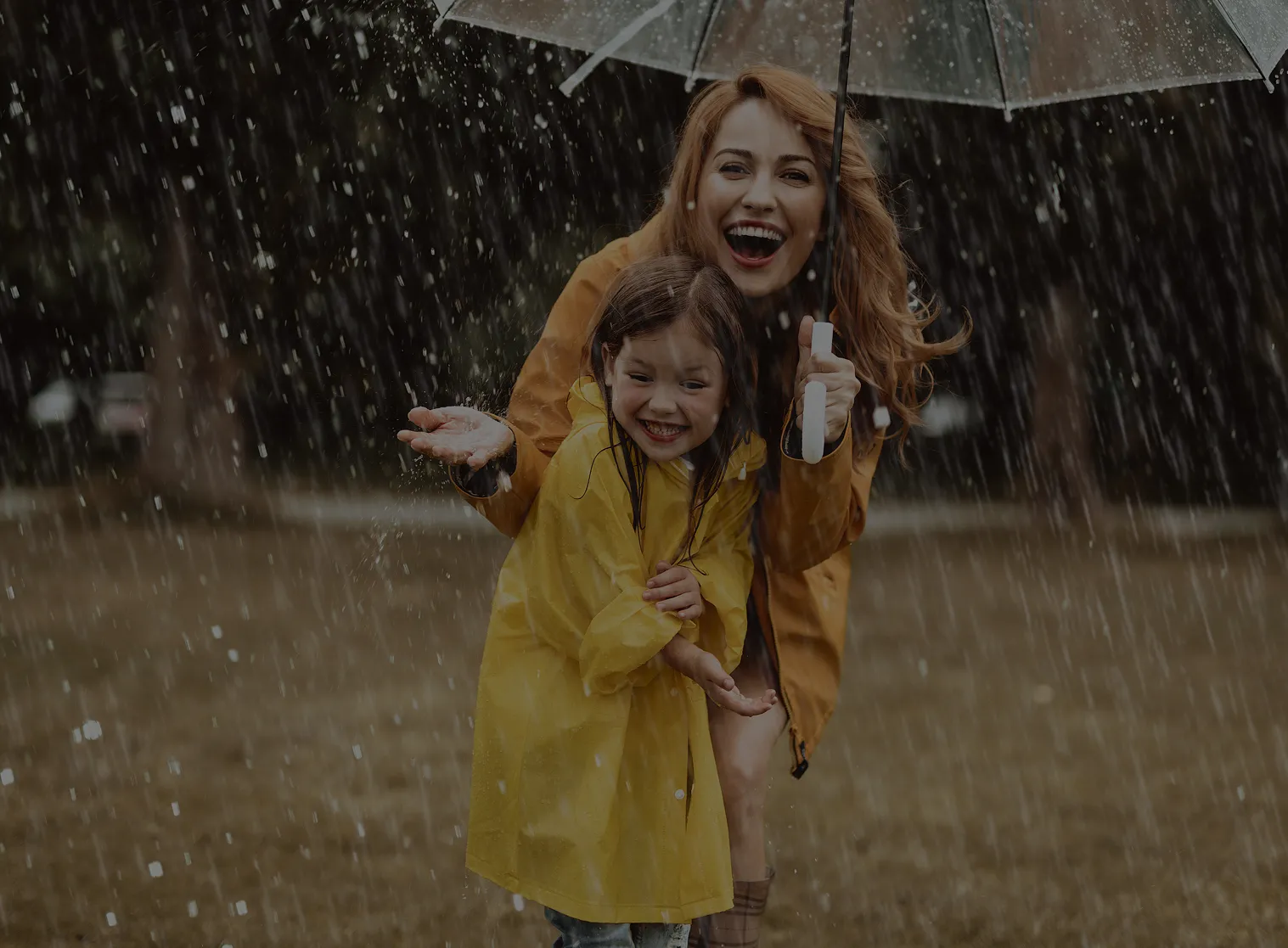 image-1.webp
