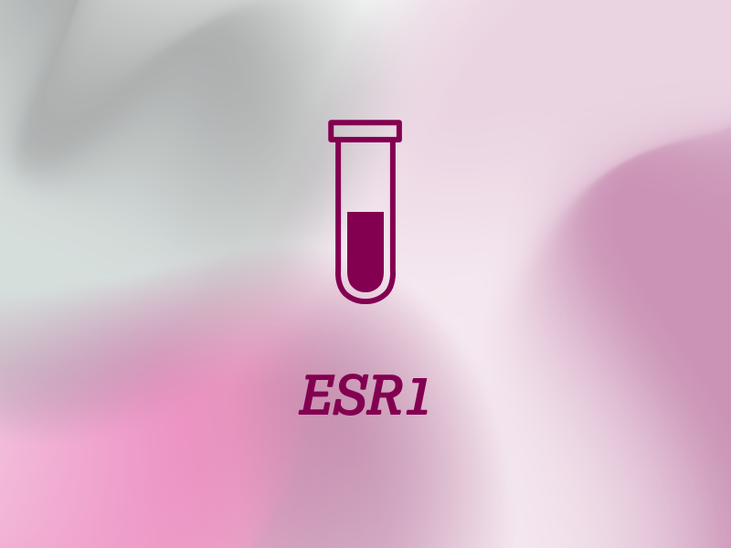 diagnostik-teaser-ebene-2-ESR1-V1-2x_uid_6a9816293a41f.webp diagnostik-teaser-ebene-2-ESR1-V1-2x_uid_6a9816293a41f.webp