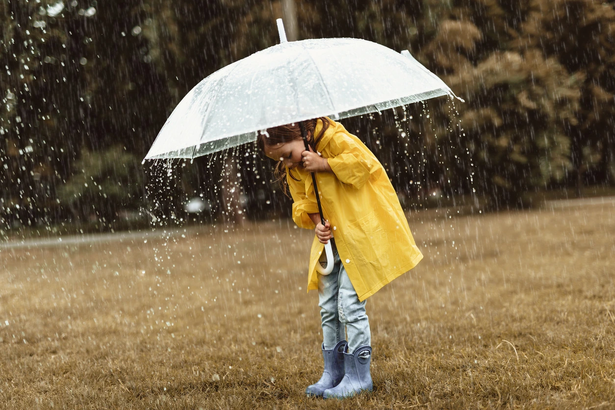 iStock-1143045691.webp iStock-1143045691.webp